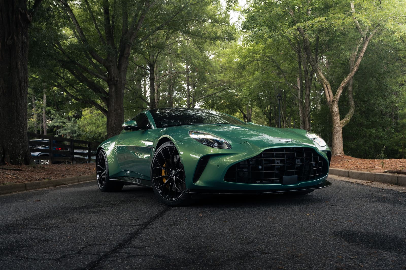 Green Aston Martin Vantage on a tree-lined road